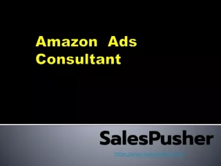 amazon ads consultant