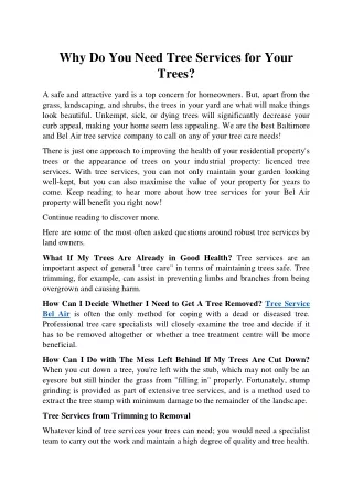 Why Do You Need Tree Services for Your Trees