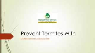 prevent termites with