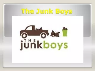 the junk boys