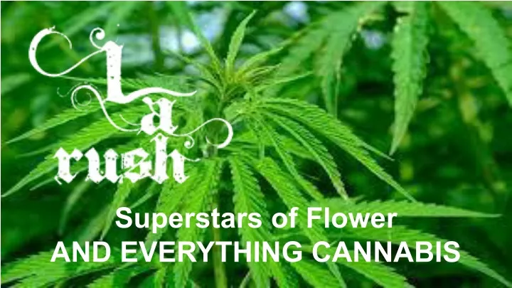 superstars of flower and everything cannabis