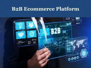 B2B Ecommerce Platform