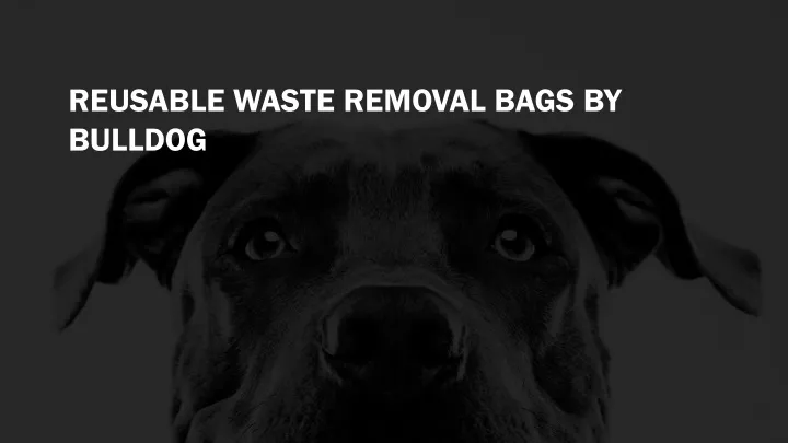 reusable waste removal bags by bulldog