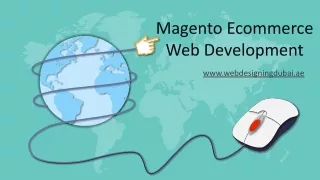 magento ecommerce web development