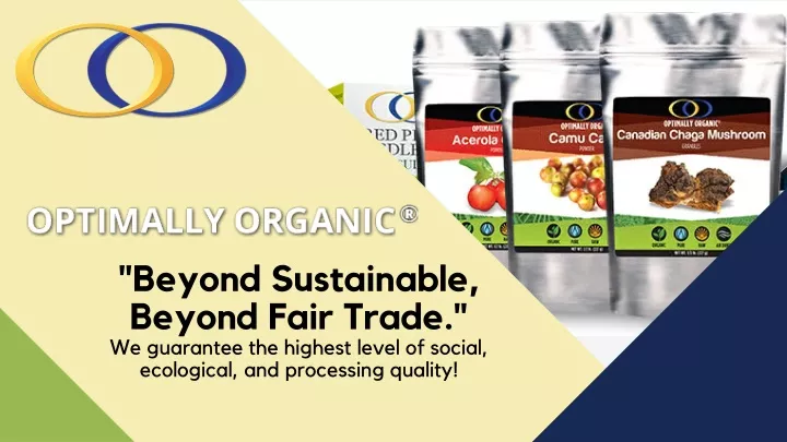beyond sustainable beyond fair trade we guarantee