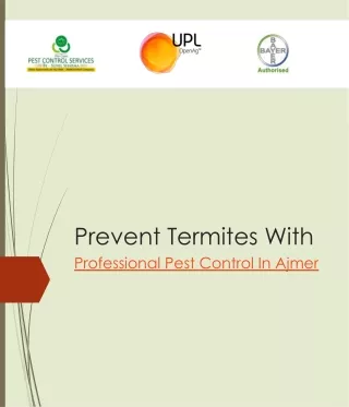 prevent termites with professional pest control