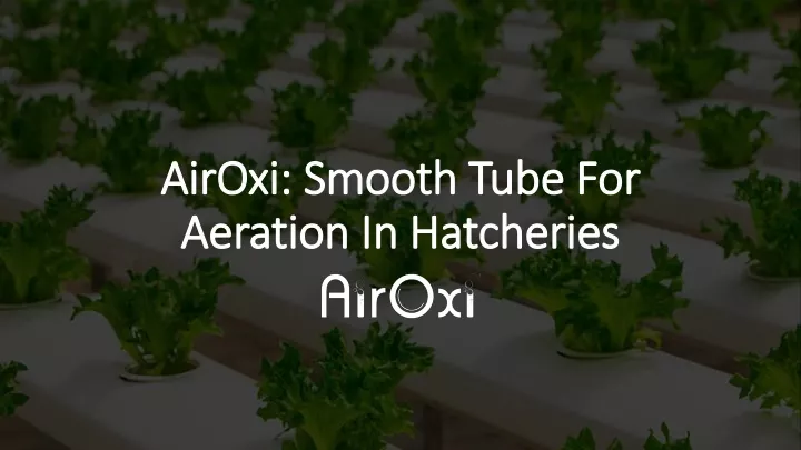 airoxi smooth tube for aeration in hatcheries