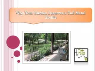 Why Your Garden Deserves a Tall Metal Trellis