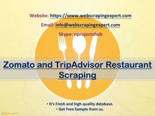website https www webscrapingexpert com email