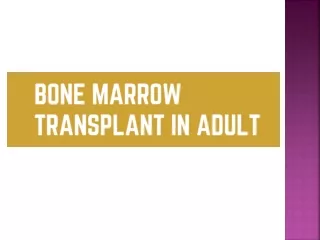 Bone Marrow Transplant in Adult