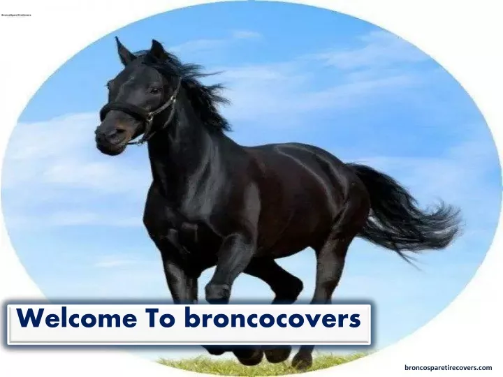 welcome to broncocovers