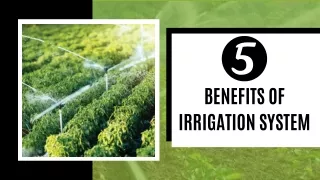 benefits of irrigation system