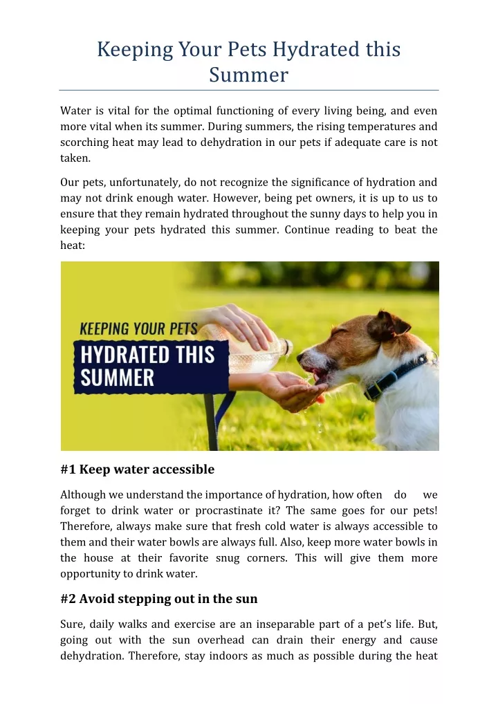 keeping your pets hydrated this summer