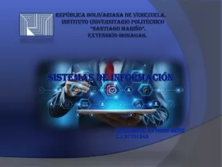 SISTEMAS DE INFORMACIÓN