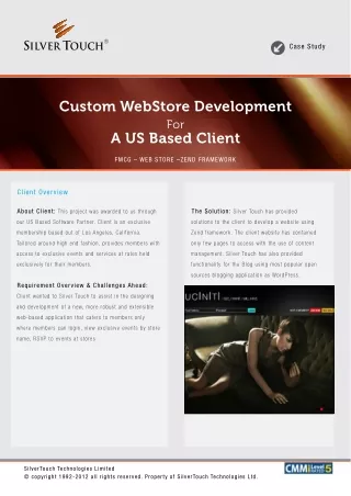 Custom web store development