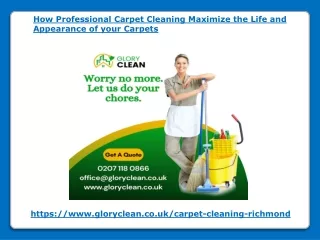 how professional carpet cleaning maximize