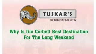 Why Jim Corbett Best Destination For Long Weekend | Best Budget Hotels In Jim Co