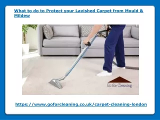 what to do to protect your lavished carpet from