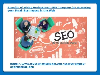 Benefits of Hiring Professional SEO Company for Marketing your Small Businesses