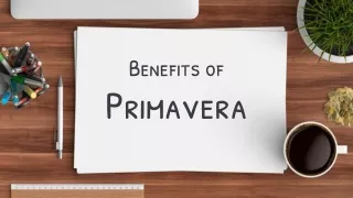 Benefits of Primavera