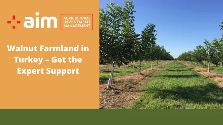 walnut farmland in turkey get the expert support