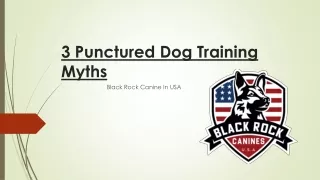 3 Punctured Dog Training Myths