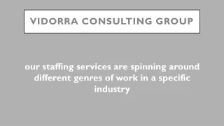 Vidorra Consulting Group