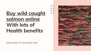 Buy wild caught salmon online