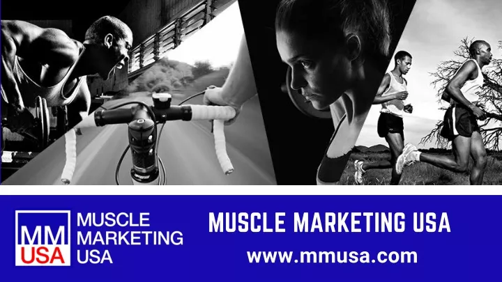 muscle marketing usa www mmusa com