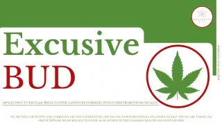 excusive bud