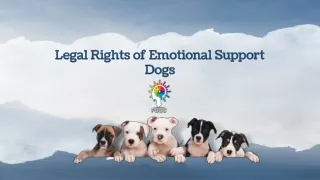 Legal Rights of Emotional Support Dogs