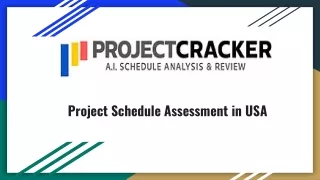 Project Schedule Assessment in USA