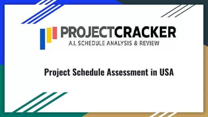 project schedule assessment in usa