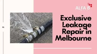 Exclusive Leakage Repair in Melbourne