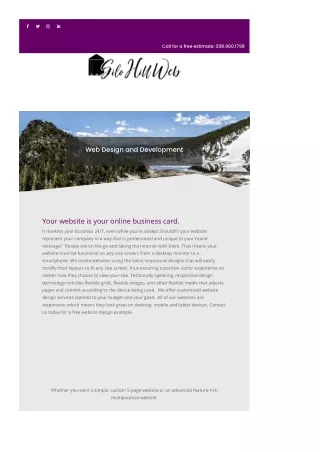 Professional Custom Web Services
