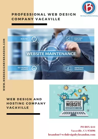 Professional web design development and maintenance company Vacaville