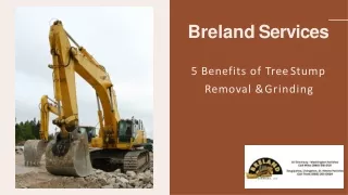 5 Benefits of Tree Stump Removal & Grinding