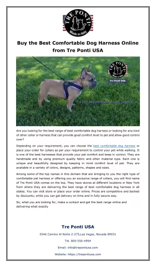 Buy the Best Comfortable Dog Harness Online from Tre Ponti USA