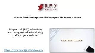 What are the advantages and Disadvantages of PPC Services in Mumbai