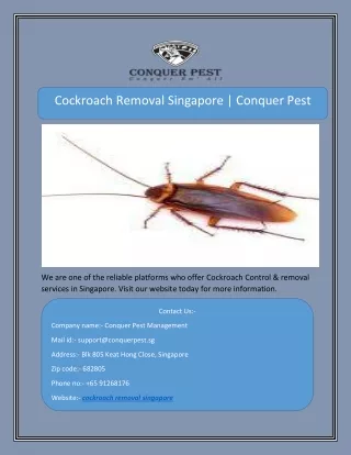 cockroach removal singapore conquer pest