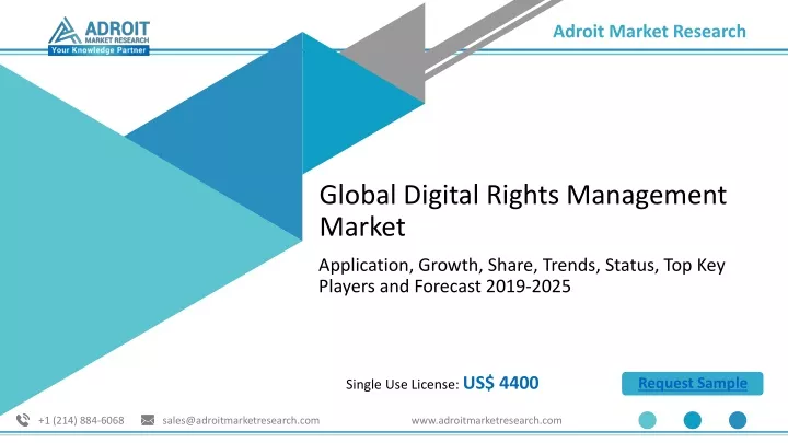 global digital rights management market