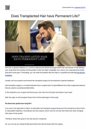 Does Transplanted Hair have Permanent Life-converted