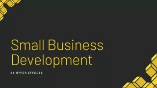 small business development