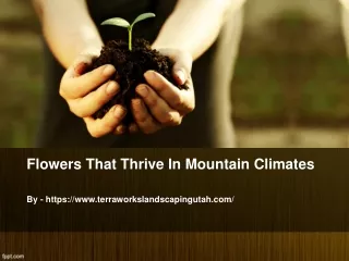flowers that thrive in mountain climates