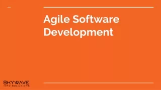 Agile Software Development | Skywave Info Solutions