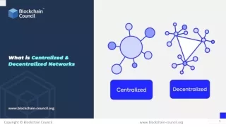 What are Centralized & Decentralized Networks