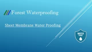 Sheet Membrane waterproofing. ppt