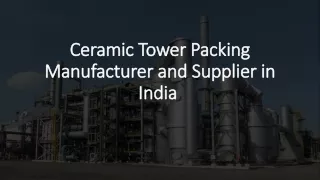 Ceramic Tower Packing Manufacturer and Supplier in India