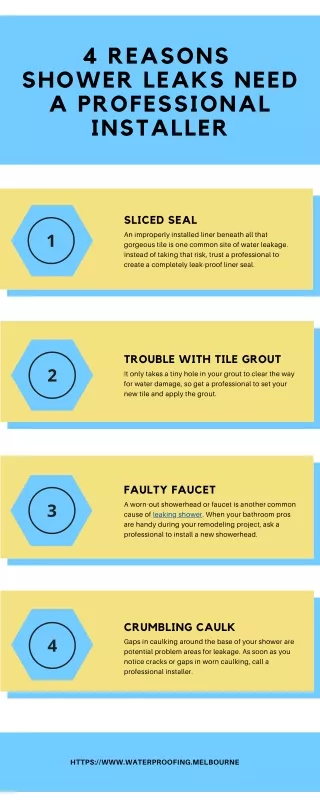 4 Reasons Shower Leaks Need A Professional Installer - Infographics