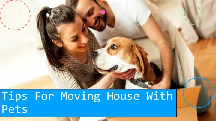 tips for moving house with pets